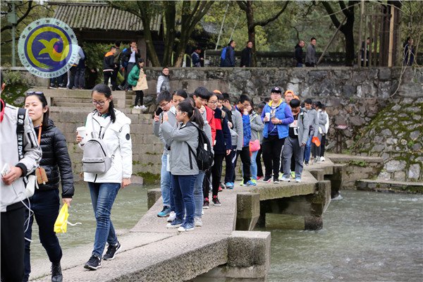 又是一年芳草绿 青石板上再相遇(图2)