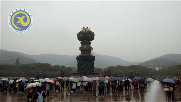 壮志少年远游学 樱花微雨趁春光(图2)