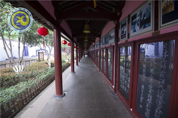 壮志少年远游学 樱花微雨趁春光(图5)