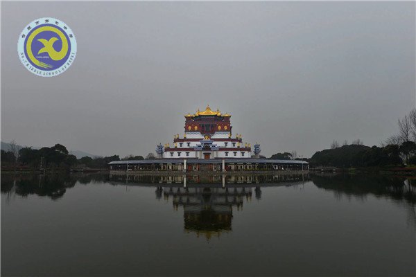 壮志少年远游学 樱花微雨趁春光(图1)