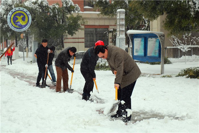 党员干部扫雪忙    师生离校保通畅(图3)