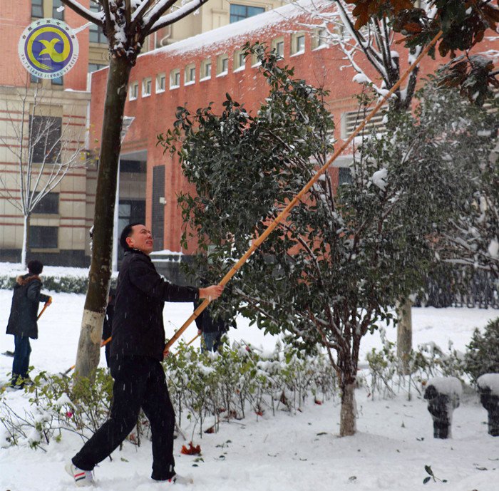 梅雪盼冬来，微笑迎春归(图10)