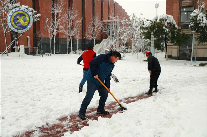 梅雪盼冬来，微笑迎春归(图11)