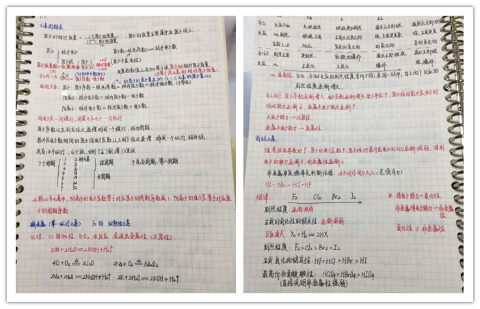 耕耘不辍秉初心  智慧领航显担当(图4)