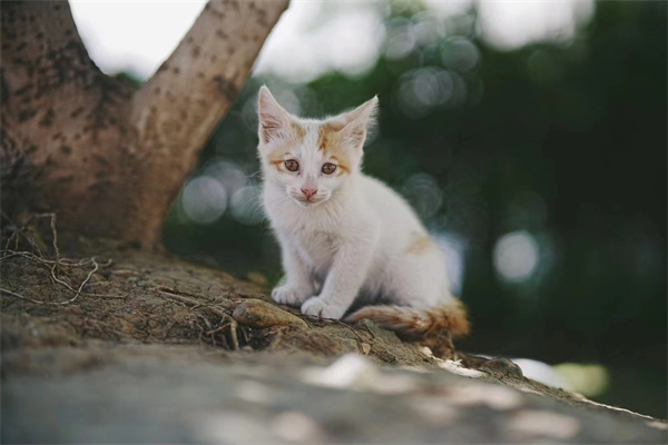 微信图片_20250929154636_1661_186.jpg 微信图片_20250929154636_1661_186.jpg