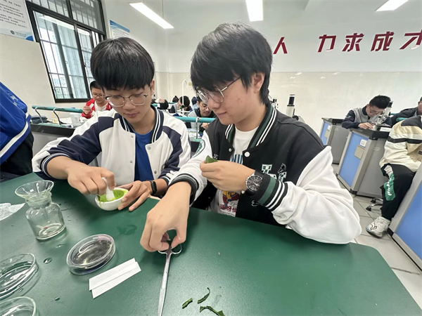 在实践中感悟:合肥七中高三生物实验助力深度学习(图4) 在实践中感悟:合肥七中高三生物实验助力深度学习(图4)