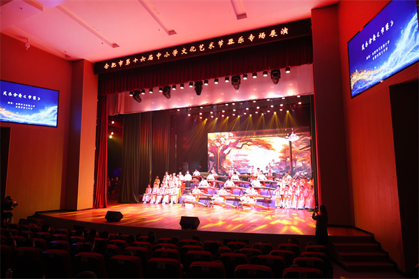 弦音袅袅展风华   民乐声声颂华章(图2)