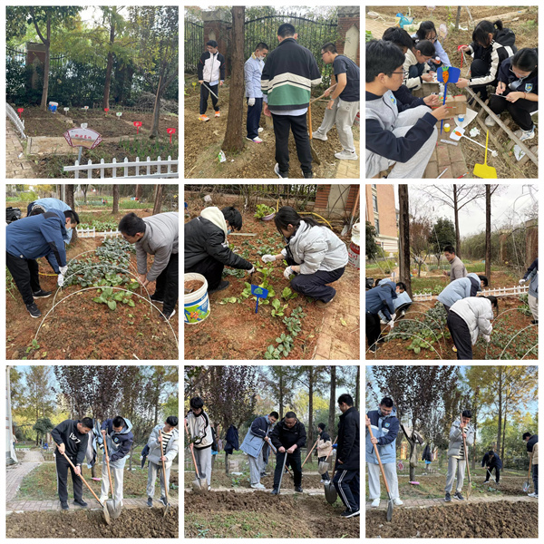 从播种到收获,七中少年在田埂上书写成长答卷(图3) 从播种到收获,七中少年在田埂上书写成长答卷(图3)