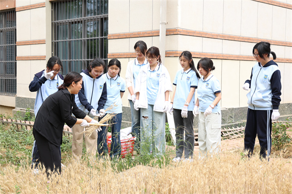田间万物生长时:合肥七中“耕读教育”如何让知识扎根大地(图6) 田间万物生长时:合肥七中“耕读教育”如何让知识扎根大地(图6)