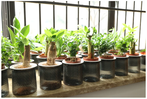 QQ截图20260309160050.png QQ截图20260309160050.png