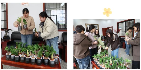 QQ截图20260309160113.png QQ截图20260309160113.png