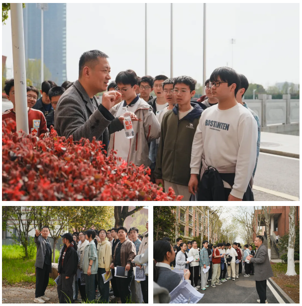 赴一场草木之约，让知识在校园春光里自然生长