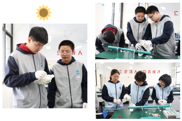 还能做酸奶!合肥七中春日生物课太“香”了