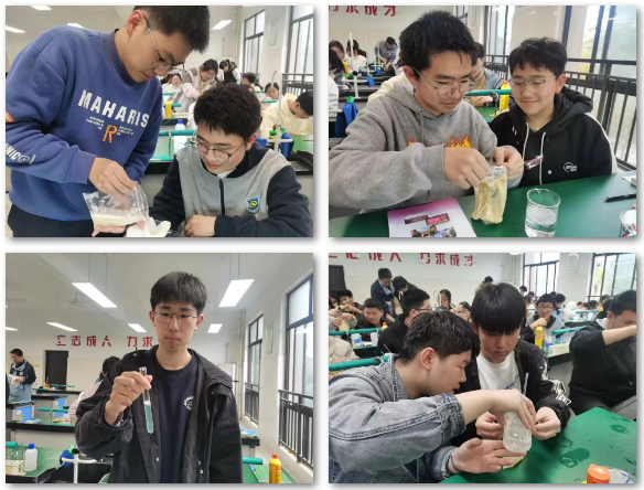 香蕉替代洋葱,看高二学子亲手“提”出 DNA!