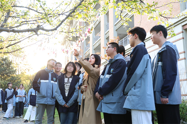 七宝的春天 l &ldquo;瓶子里的春&rdquo;：用巧手定格自然诗意