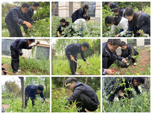 土豆辣椒齐&ldquo;报到&rdquo;，看七宝在田间地头种春天！