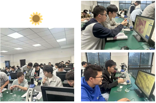 QQ截图20260624144127.png