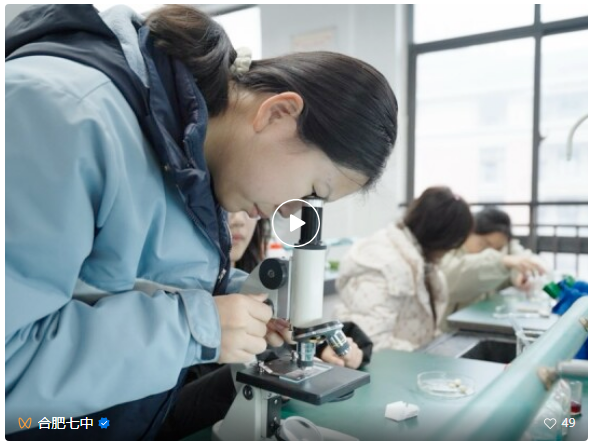 QQ截图20260624144225.png