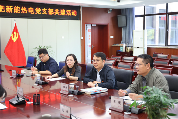 合肥七中第二党支部与合肥新能热电党支部共建启动(图4)
