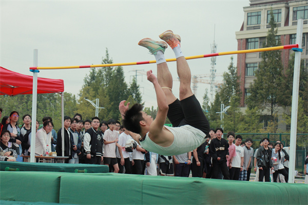 微信图片_20261016230441_936_62.jpg